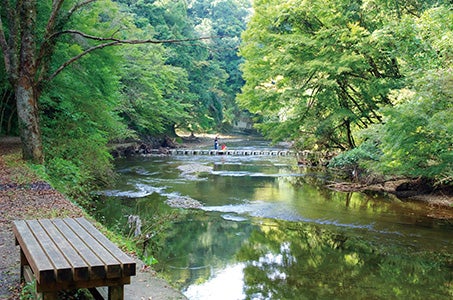 相模大野発【普通車プラン】菜の花咲くローカル列車小湊鉄道乗車と 絶景鋸山・地獄のぞき 春の房総旅 日帰り 菜の花が黄色く染める房総を旅情たっぷりの列車で走り抜ける!1